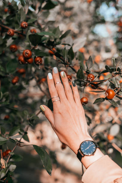 Beautiful fall manicure Woman hand with beautiful minimalistic manicure with geometry design, rings and black watches on the fall red malus apples tree background. gel nail polish stock pictures, royalty-free photos & images