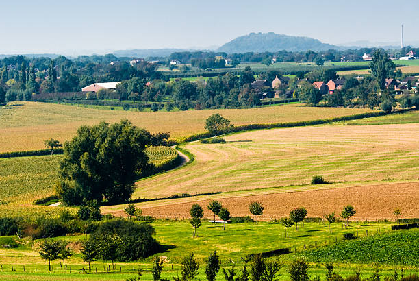 beautiful farmland landscape stock photo