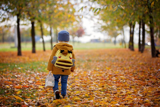 Beautiful fashion toddler boy, walking in park with lantern in hand...
