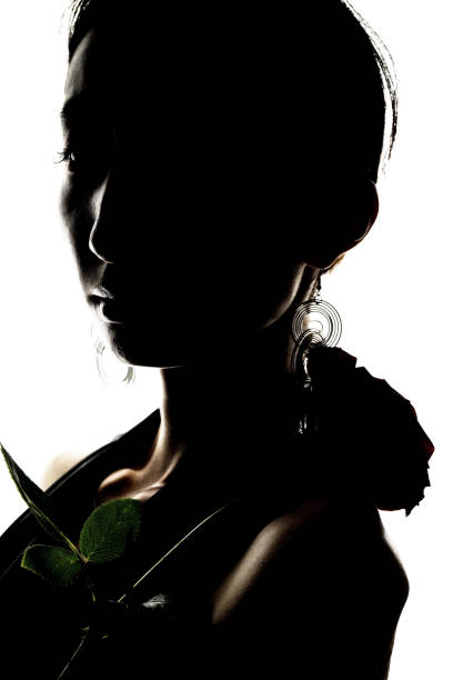 Beautiful fashion woman and a rose silhouette stock photo