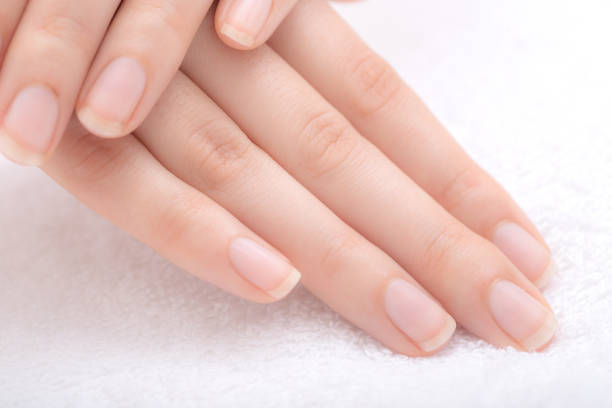 Beautiful female hands and nails Beautiful female hands and nails on white towel. fingernail stock pictures, royalty-free photos & images