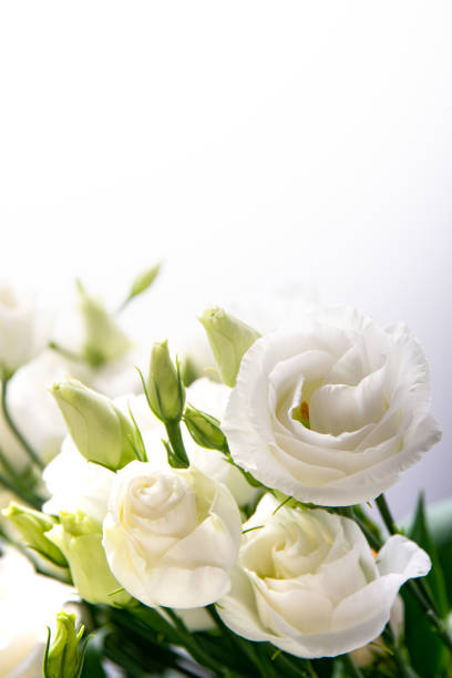 Beautiful flower bouquet with white Lisianthus or Eustoma  flower on white background. stock photo