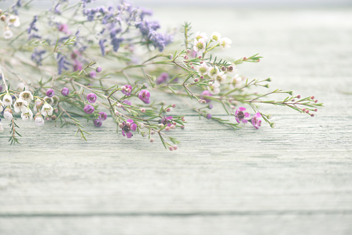 beautiful flowers heather on wooden background