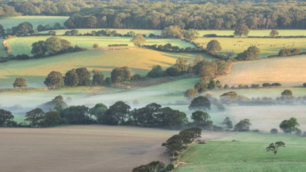 Beautiful foggy morning landscape image looking across fields on the South Downs National Park in rolling English contryside during late Summer stock photo