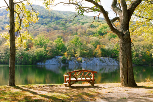 Beautiful forest lake. stock photo