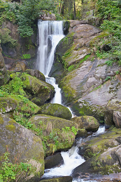 Beautiful forest waterfall stock photo