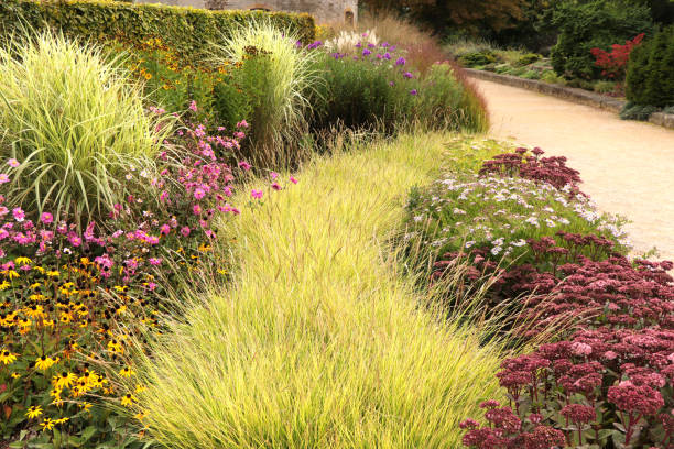 Beautiful garden with ornamental grasses and flowers stock photo