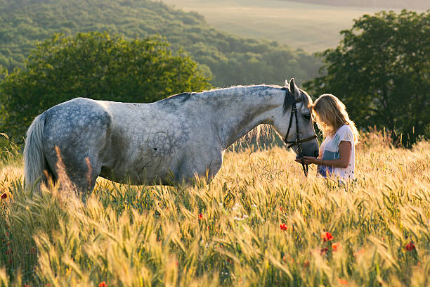 Beautiful girl and horse outdoors stock photo