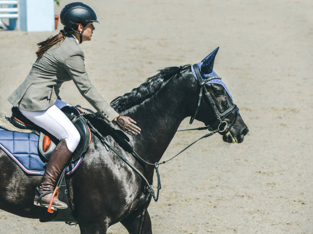 vacker flicka på svart häst i hoppning, show, hästsport. - horse tack bildbanksfoton och bilder