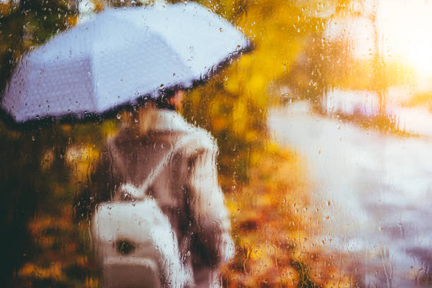 mooie gouden herfst seizoen. aquarel zoals wazig blond meisje met rugzak en heldere paraplu staat onder regenachtige druppels en druppels. backlit sunset sun beam fakkels op sccreen. nat weer - rain woman sun stockfoto's en -beelden
