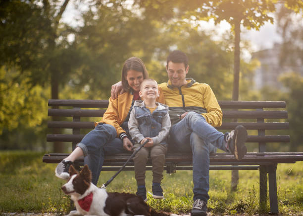 beautiful happy caucasian family sitting on a bench in park with their dog on a leash holding by toddler stock photo