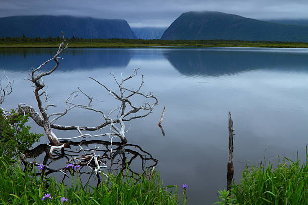 beautiful lake - labrador stockfoto's en -beelden