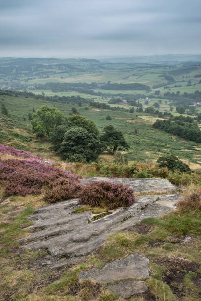 Beautiful landscape image of late Summer vibrant heather at Curbar Edge in Peak District National Park in England stock photo