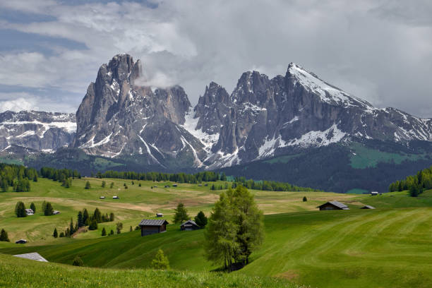 beautiful landscape of a green meadow with trees and wooden houses with the mountain of Alpe di Siusi in the Italian Dolomites in the background stock photo