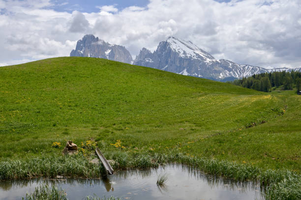 Beautiful landscape of a pond with a wooden gutter in a green pasture and in the background the mountain of Alpe di Siusi in the Italian Dolomites stock photo