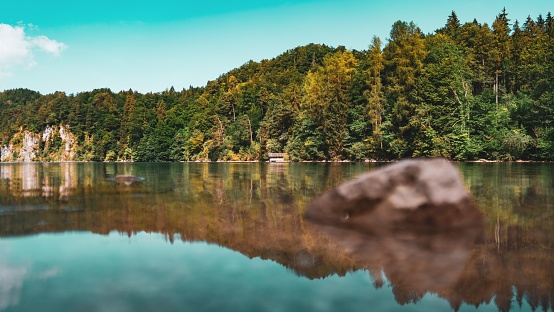 A beautiful landscape of green forest at the shore symmetrically reflecting on the lake water