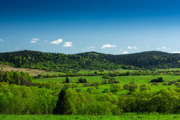 Beautiful Landscape on Poland and Ukraine Border Frontier . Nature in Bieszczady Park. Beautiful Landscape on Poland and Ukraine Border Frontier . Nature in Bieszczady Park. bieszczady mountains stock pictures, royalty-free photos & images