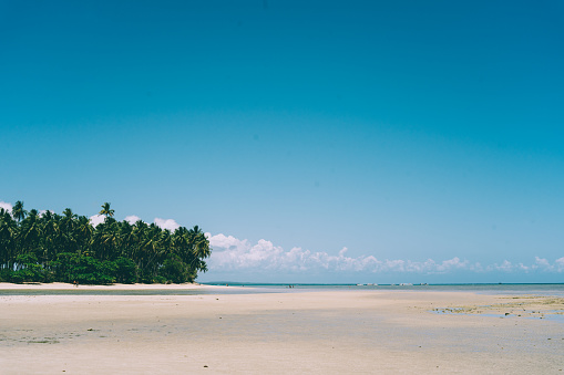 Conheça 5 Belas praias do Nordeste Brasileiro