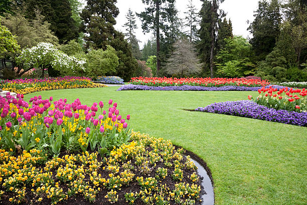 a beautiful landscaped garden of flowers - aangelegd stockfoto's en -beelden