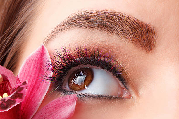 Beautiful make-up with colored eyelash extension stock photo