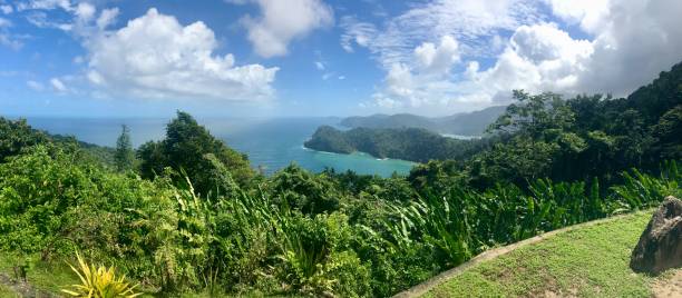 beautiful maracas lookout point mit üppigem grün und türkisblauen ozean auf der karibischen insel trinidad & tobago - tobago stock-fotos und bilder