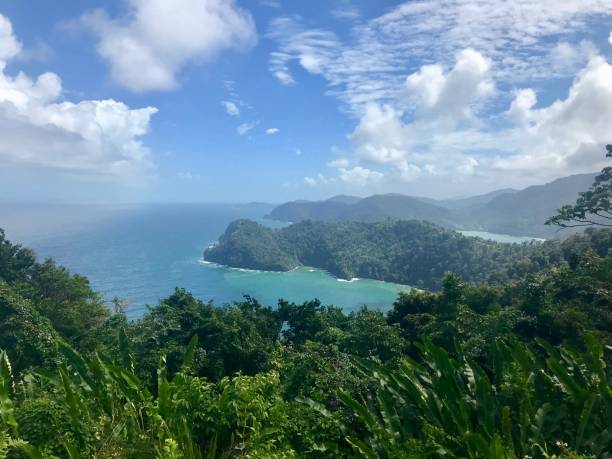 beautiful maracas lookout point mit üppigem grün und türkisblauen ozean auf der karibischen insel trinidad & tobago - tobago stock-fotos und bilder