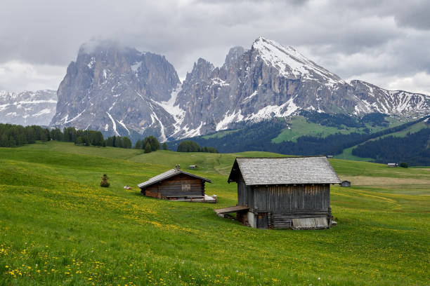 Beautiful meadow with several wooden houses facing the mountain in Alpe di Siusi Seiser Alm in the Dolomites, Italy, Europe stock photo