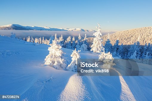 istock Beautiful mountain landscape opens from the green meadow covered with large and small trees under the snow in the winter New Year's Day. 847238274