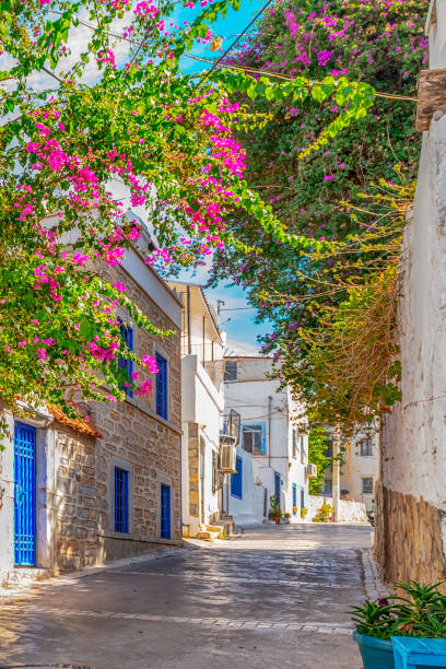 Beautiful narrow street with bougainvillea in Bodrum stock photo