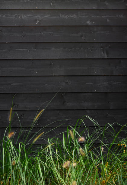 Beautiful nature background green grass against black wooden wall with horizontal planks template stock photo