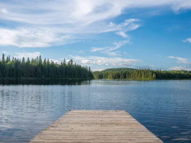 paisaje de la naturaleza en un caluroso día de verano - lago fotografías e imágenes de stock