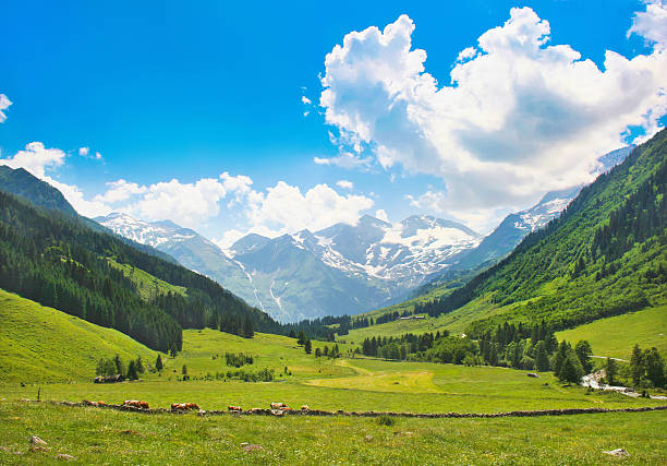 Beautiful nature landscape in the Alps, Austria "Beautiful nature landscape in the Alps in Nationalpark Hohe Tauern, Salzburg, Austria." hohe tauern range stock pictures, royalty-free photos & images