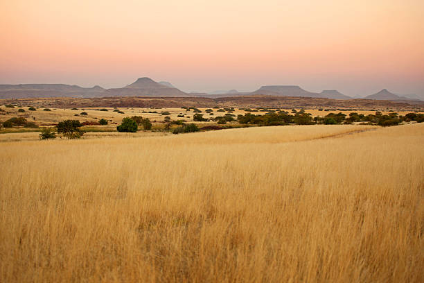 Beautiful Northern Namibian Savannah Landscape at Sunset This is a landscape image of African savannah and a mountain range in Northern Namibia, close to Palmwag. This African landscape has beautiful colors at sunset. There are no people or animals in this image. plain stock pictures, royalty-free photos & images