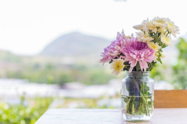 beautiful of many type Chrysanthemum flower in clear vase on the wooden table with blurred mountain background stock photo