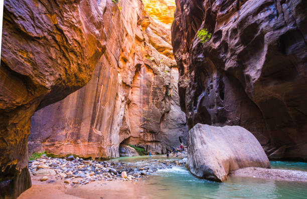 beautiful of narrow in the afternoon  in Zion National park,Utah,usa. stock photo