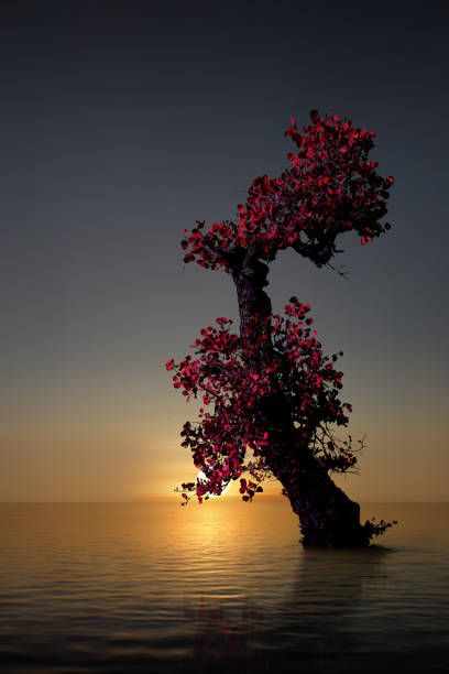 Beautiful old tree on the beach stock photo