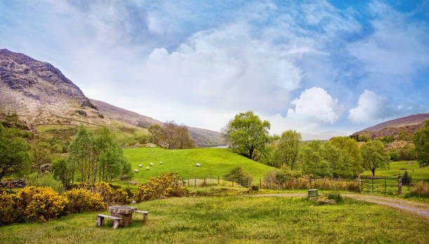 Beautiful panoramic landscape in Kenmare stock photo