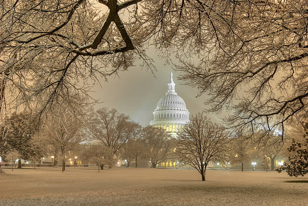 Beautiful picture of Capitol under a snowstorm stock photo