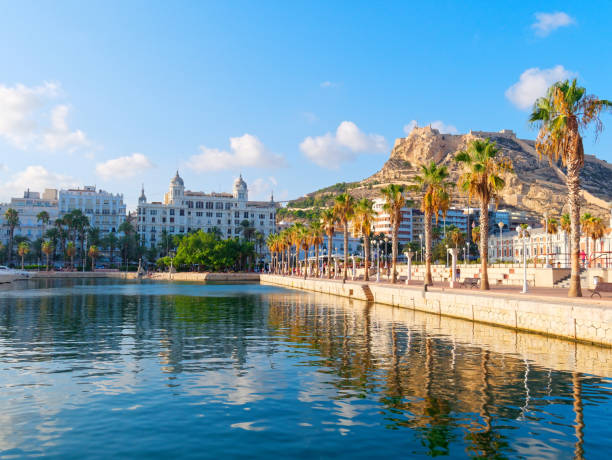 Beautiful promenade with palm trees in Alicante. Spain Beautiful promenade with palm trees in Alicante. Spain costa blanca stock pictures, royalty-free photos & images