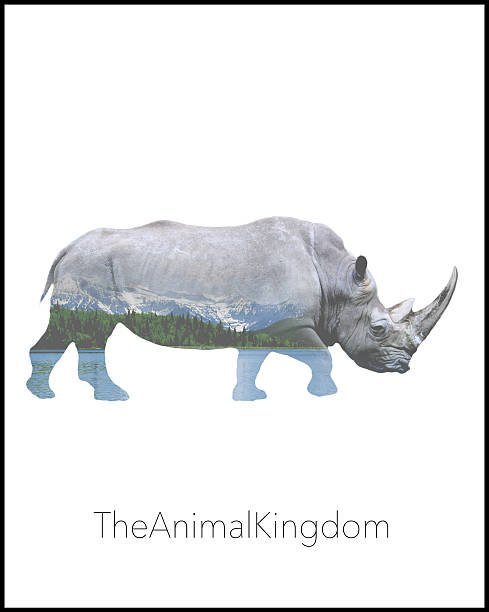 Beautiful Rhino stock photo