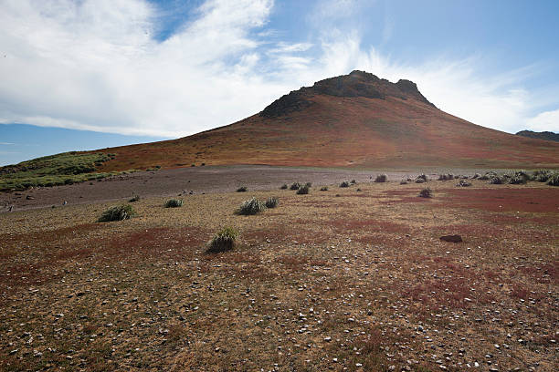 Beautiful rocky hill on Steeple Jason Island stock photo