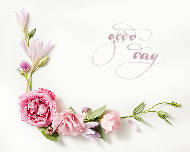 beautiful roses frame lettering - Good Day written in calligraphy style on paper with wreath frame with roses isolated on white background. rose flower photos stock pictures, royalty-free photos & images