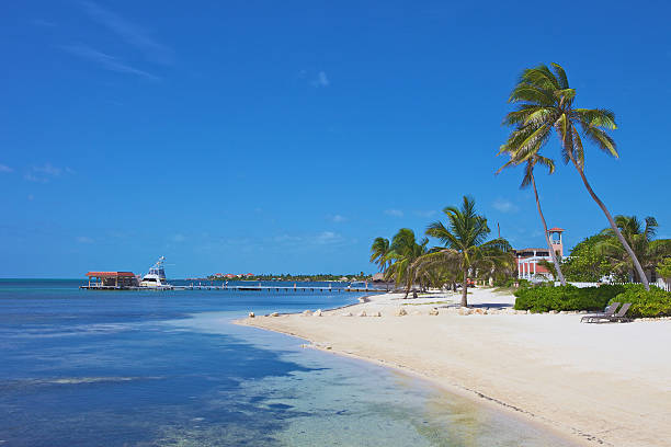 A beautiful scene of a beach resort on the ocean A beach resort on Ambergris Caye (Belize) San Pedro Beach stock pictures, royalty-free photos & images