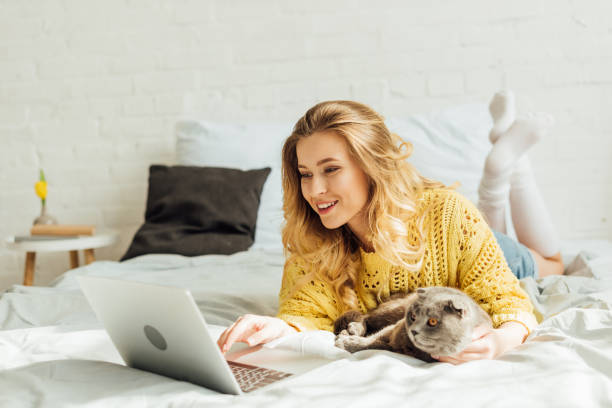 beautiful smiling girl lying in bed with scottish fold cat and using laptop at home  scottish fold cat stock pictures, royalty-free photos & images