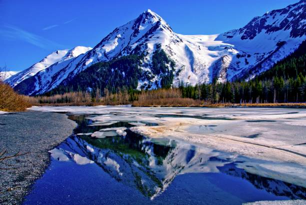 Beautiful Snowy Mountain in Alaska with Reflection in Lake. A Partially Frozen Lake with Mountain Range Reflected in the Partially Frozen Waters of a Lake in the Great Alaskan Wilderness. A Beautiful Landscape of Blue Sky, Trees, Rock, Snow, Water and Ice. alpine lakes wilderness stock pictures, royalty-free photos & images