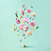 Beautiful spring flowers flying in the air, against teal background; Creative spring floral layout. Minimal birthday, valentines or wedding concept.