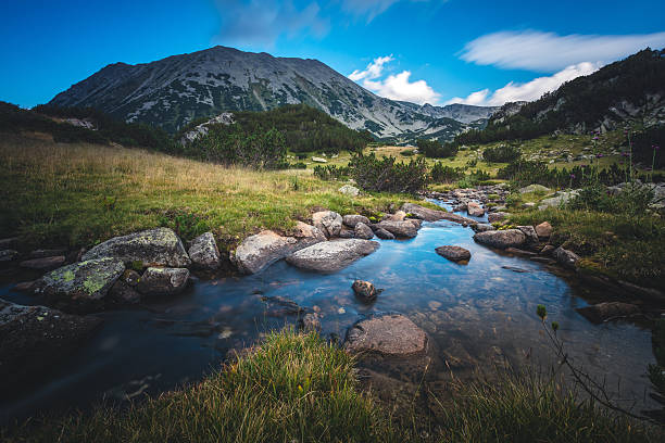 beautiful stream in a mountain valley - bulgarije stockfoto's en -beelden