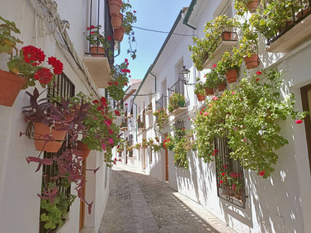 Beautiful streets full of flowers in old town of Priego de Córdoba Andalusia Spain Beautiful streets full of flowers in old town of Priego de Córdoba Andalusia Spain cordoba spain stock pictures, royalty-free photos & images