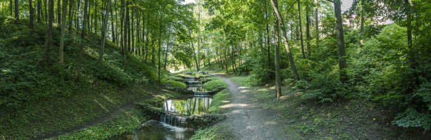 beautiful summer in a city park with cascade stream among green trees on a sunny day. panoramic photo. stock photo
