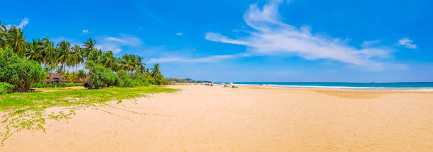 Beautiful sunny landscape panorama from Bentota Beach on Sri Lanka island. stock photo